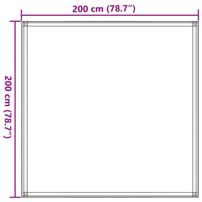 Zeltteppich Hellgrün 200x200 cm HDPE